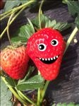 搞怪草莓