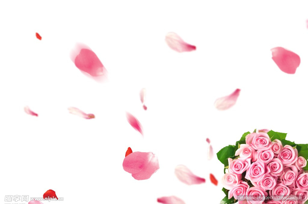 粉色玫瑰花瓣花束