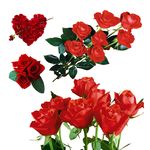 玫瑰花