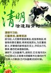 清明踏青