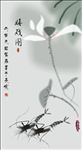 虾趣图