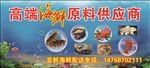 海鲜车贴