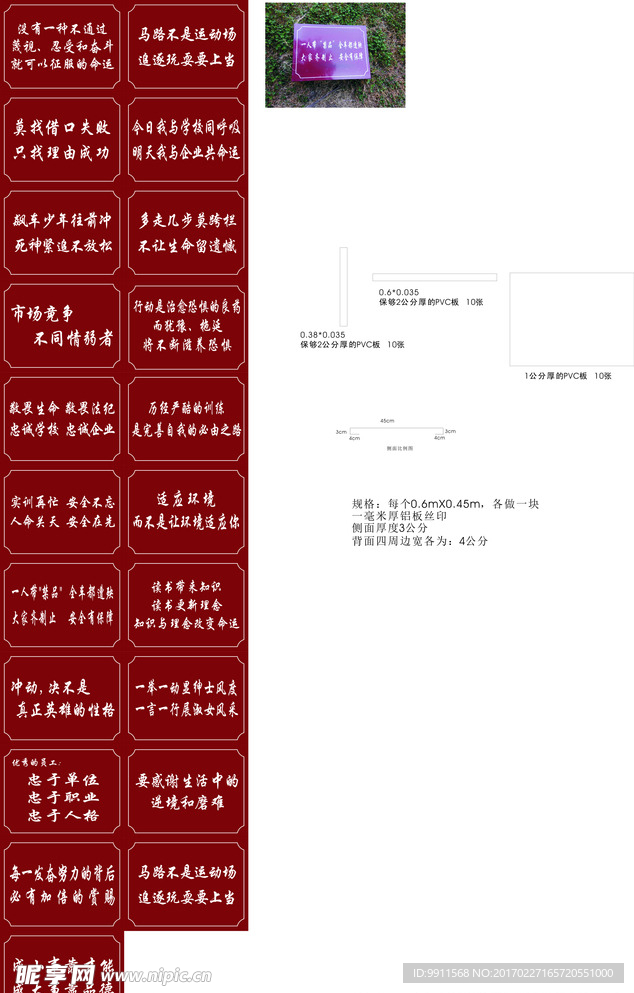 绿化牌学校草坪