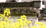 屋檐与菜花