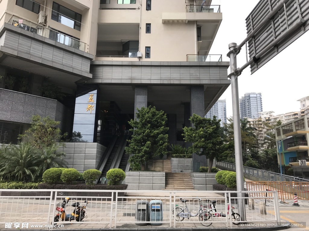 植物造型