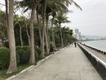 休闲小径