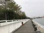 休闲小道