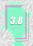 3.8海报