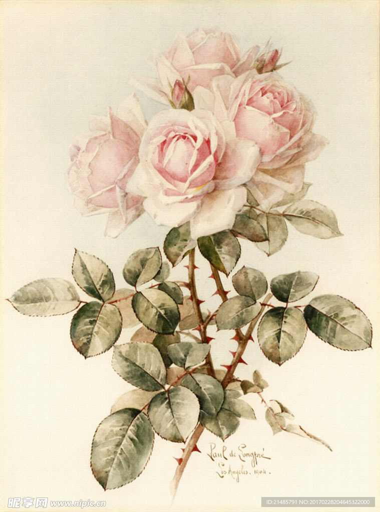 玫瑰花朵花卉装饰画