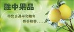 蜜柚宣传单