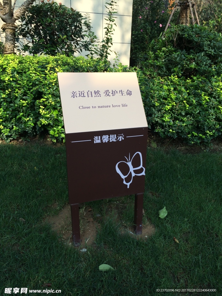 户外花草牌