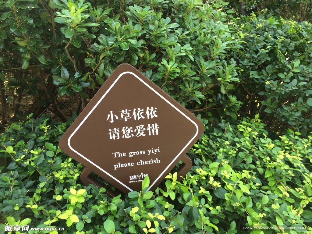 花草牌