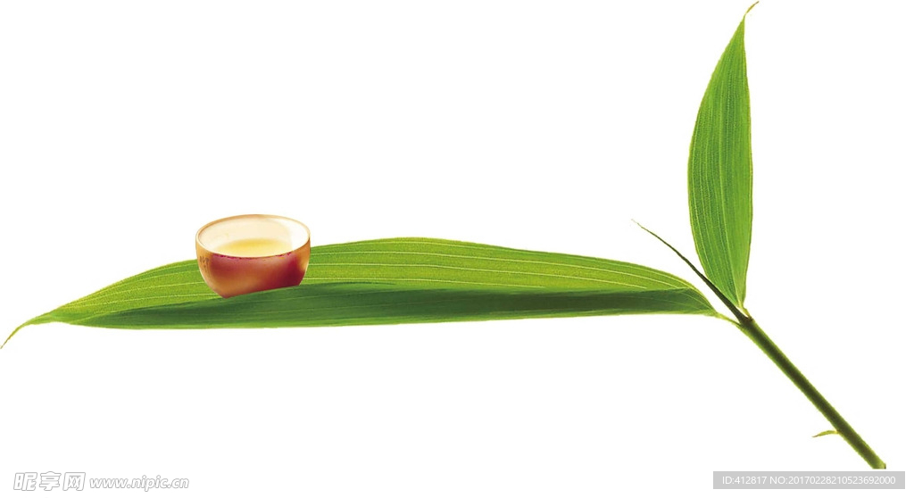 竹子与茶