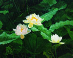 风景油画