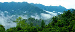 高山