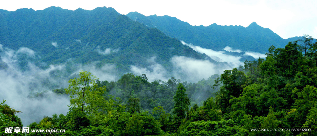 高山