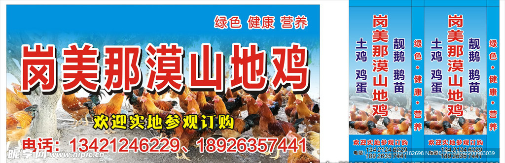 山地鸡  招牌  灯箱  海报