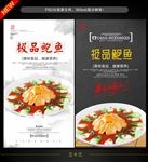 鲍鱼