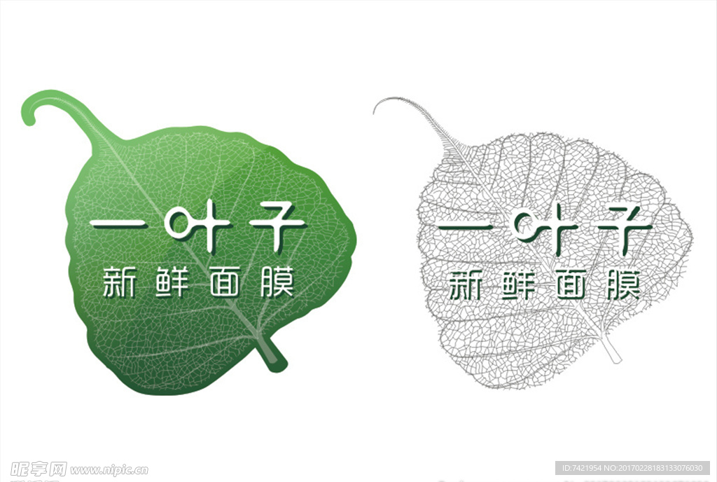 一叶子面膜 树叶矢量线条图