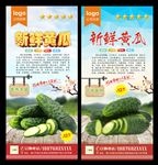 黄瓜