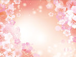 梦幻花朵