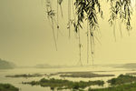 大渡河