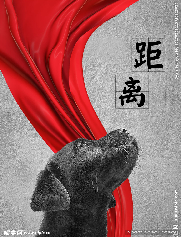动物海报