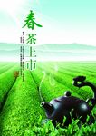 新茶上市