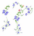水彩花朵