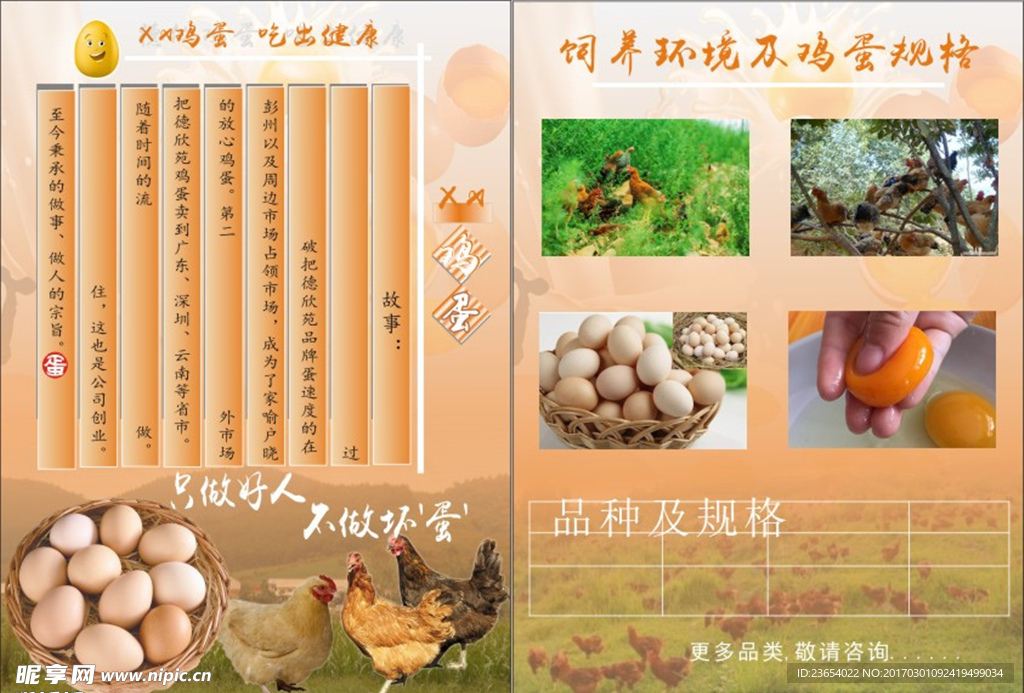 鸡蛋宣传
