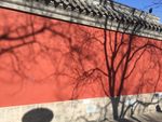 宫墙岁月
