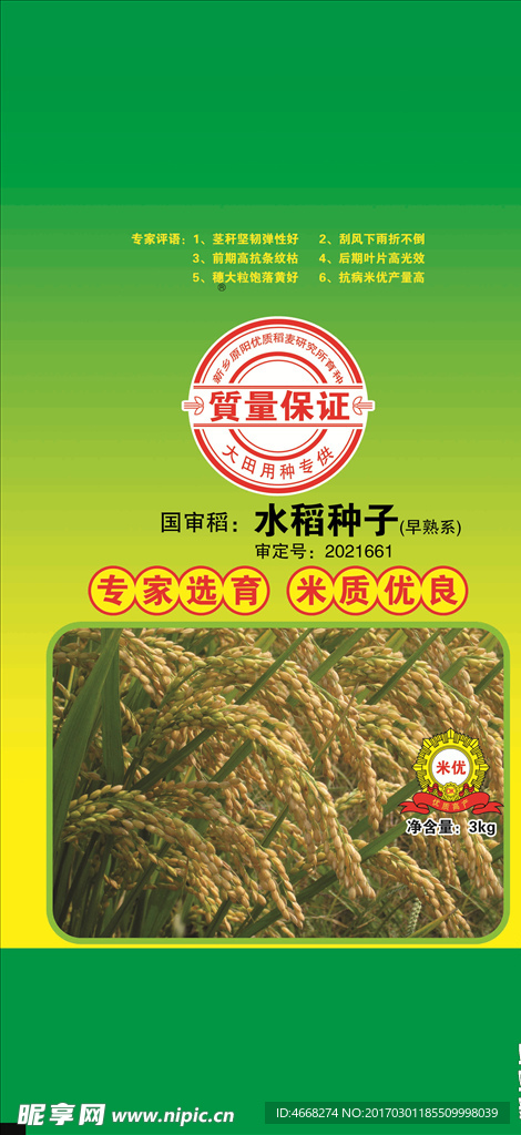 水稻种子