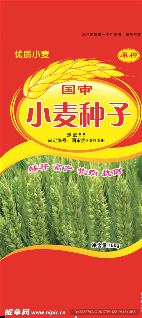 小麦种子