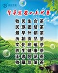 华莱黑茶八大风采