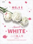 白色情人节