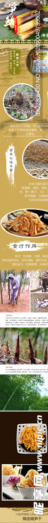 竹笋详情页