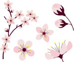 平面春季美丽的樱花元素