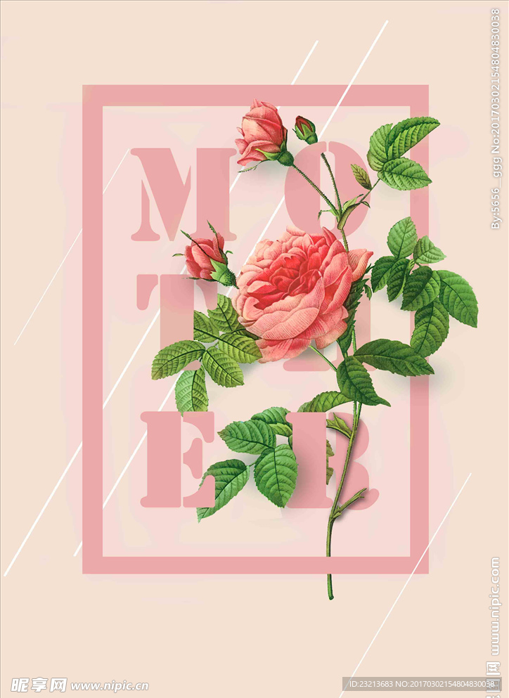 粉色立体玫瑰海报