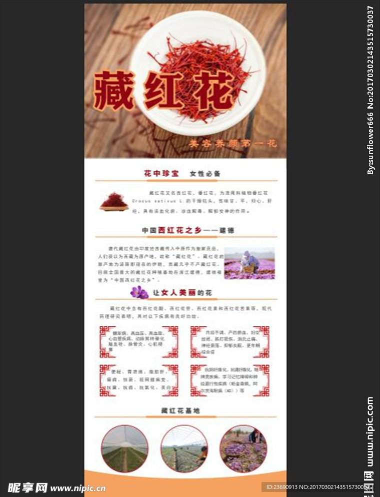 藏红花展架