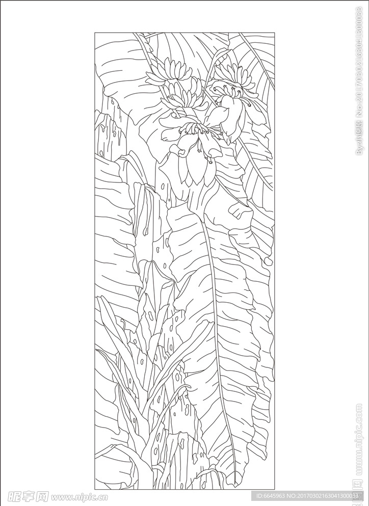 芭蕉