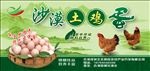 鸡蛋广告