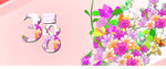 38 女生节