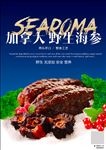 海参海报