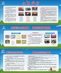企业法治展板
