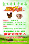 土鸡蛋传单
