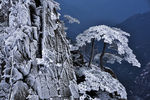 雪景