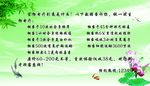 绿色海报