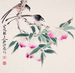 花鸟