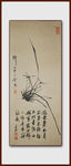 我爱兰花