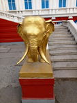 金色大象正面